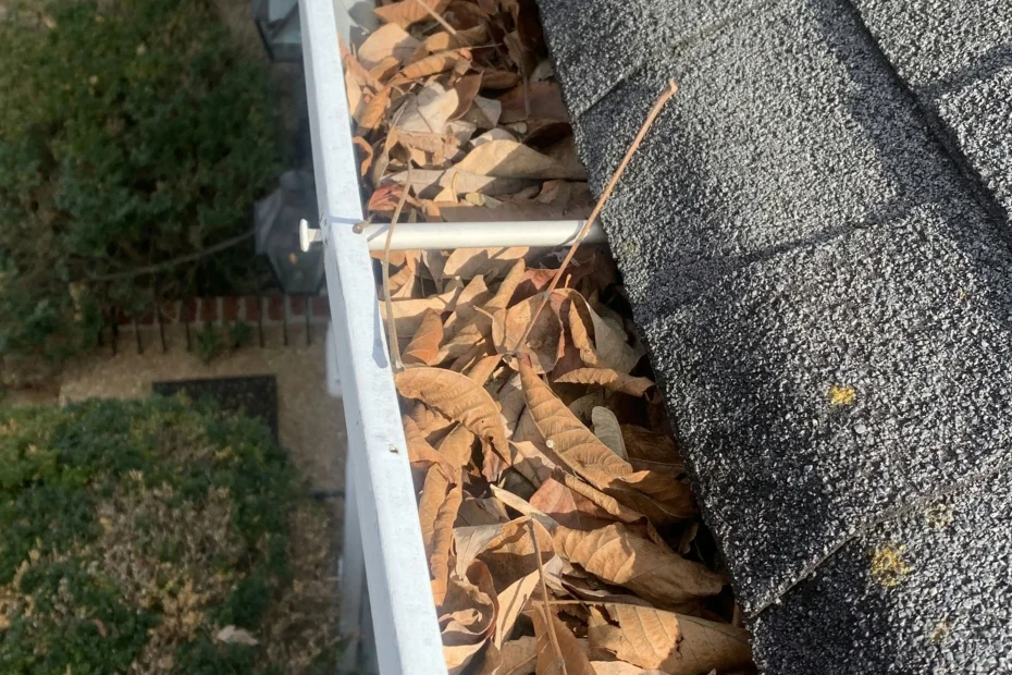 Gutter Cleaning Glade Spring